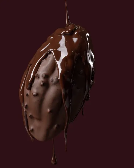 Callebaut Dark Chocolate Power 80